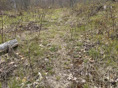 E Jackson, White Cloud, MI 49349 photo 39