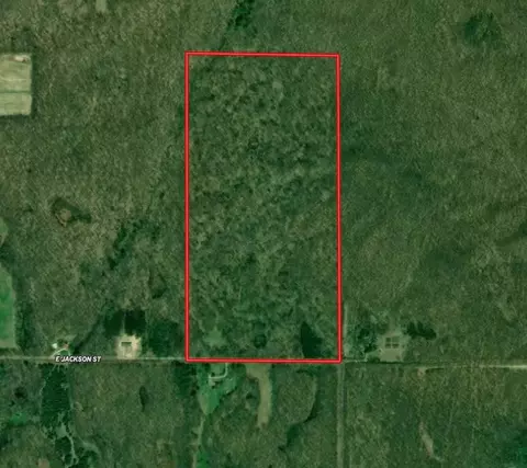 E Jackson, White Cloud, MI 49349 photo 6