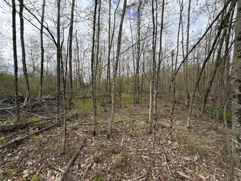 E Jackson, White Cloud, MI 49349 photo 31