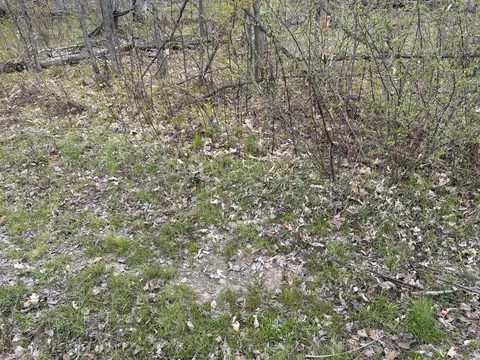 E Jackson, White Cloud, MI 49349 photo 35