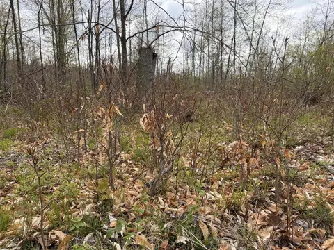 E Jackson, White Cloud, MI 49349 photo 29