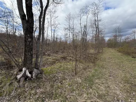 E Jackson, White Cloud, MI 49349 photo 46