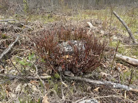E Jackson, White Cloud, MI 49349 photo 38