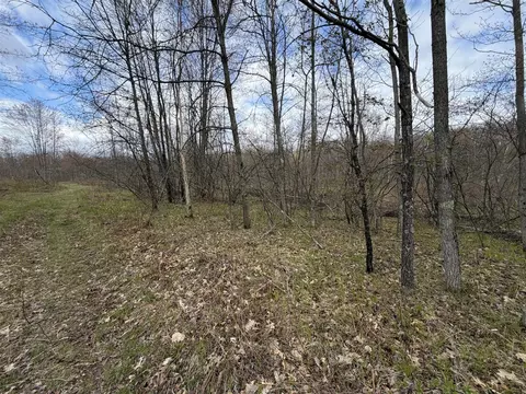 E Jackson, White Cloud, MI 49349 photo 41