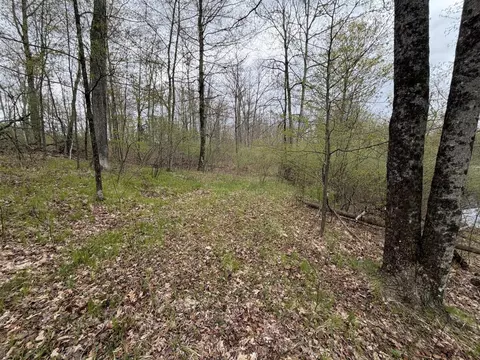 E Jackson, White Cloud, MI 49349 photo 54