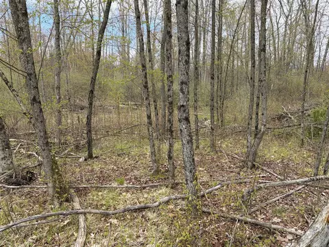 E Jackson, White Cloud, MI 49349 photo 25