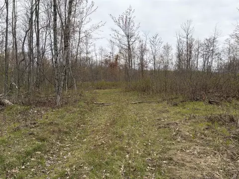 E Jackson, White Cloud, MI 49349 photo 33