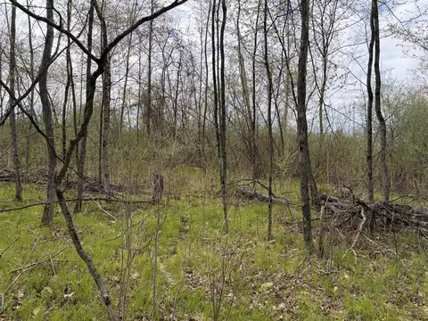 E Jackson, White Cloud, MI 49349 photo 19