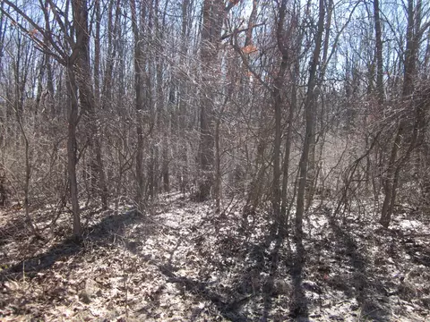 44 Th, Mattawan, MI 49071 photo 3