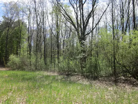 44 Th, Mattawan, MI 49071 photo 6