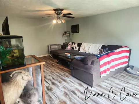 Living - 123 Riverside, Hart, MI 49420 photo 2 of 2