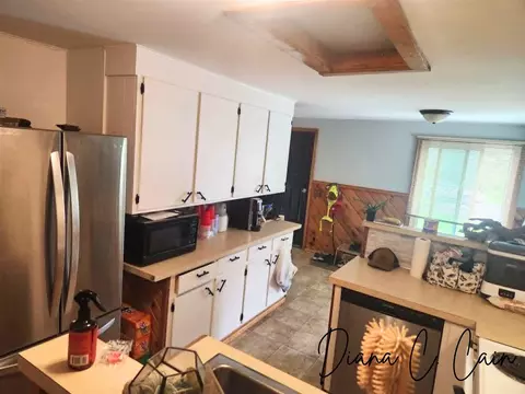 Kitchen - 123 Riverside, Hart, MI 49420 photo 4 of 4