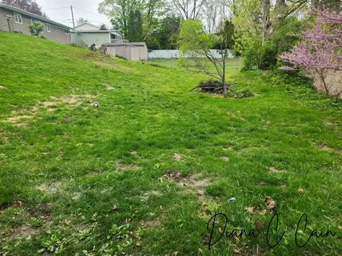 Exterior - 123 Riverside, Hart, MI 49420 photo 4 of 4