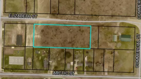 406 Elizabeth, Buchanan, MI 49107