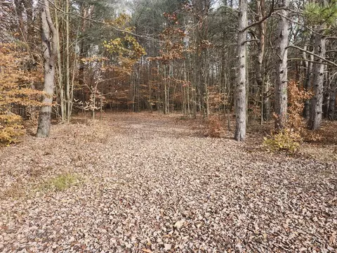 Vl 5 Acres 9 Mile, Kaleva, MI 49645
