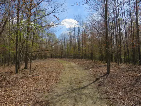 N Chippewa, Mount Pleasant, MI 48858