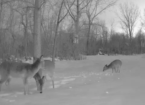 Other - 8516 Warner, Allendale, MI 49401 photo 13 of 13