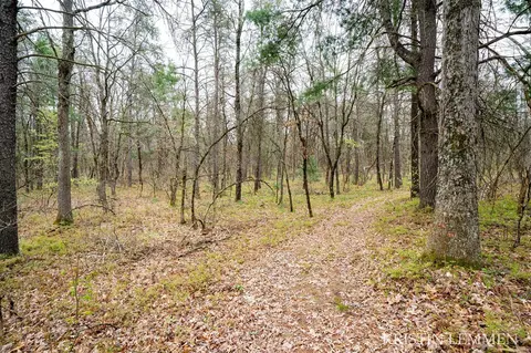 936 E Frst, White Cloud, MI 49349 photo 46