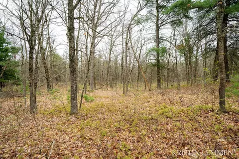 936 E Frst, White Cloud, MI 49349 photo 48