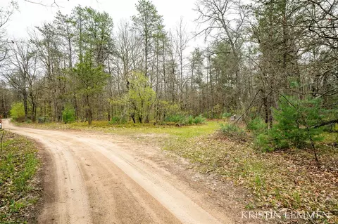 936 E Frst, White Cloud, MI 49349 photo 3