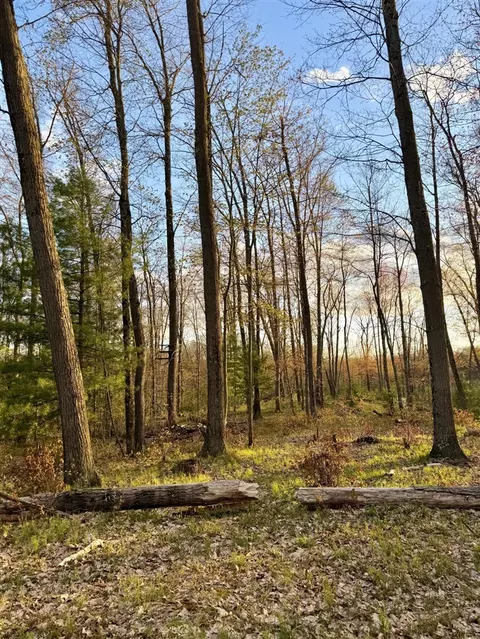 1661 N Centerline, White Cloud, MI 49349 photo 37