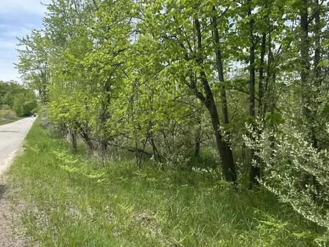 Elm, Lakeview, MI 48850