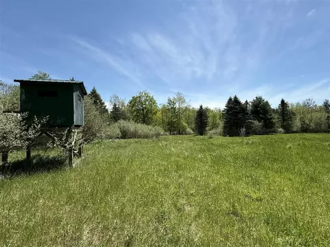 V/l Mcbride, Stanton, MI 48888 photo 5