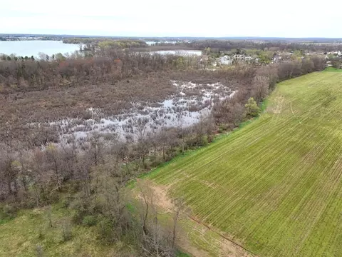 Tulip Tree, Cassopolis, MI 49031 photo 5