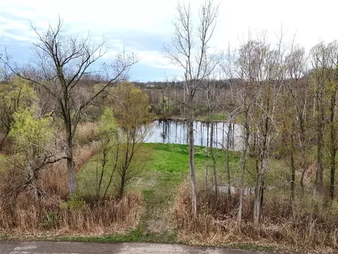 Tulip Tree, Cassopolis, MI 49031
