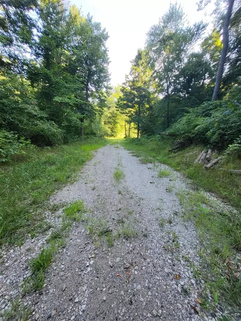 65945 57a Calvin Ctr, Cassopolis, MI 49031 photo 15