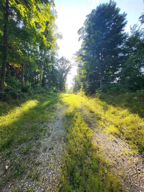 65945 57a Calvin Ctr, Cassopolis, MI 49031 photo 12