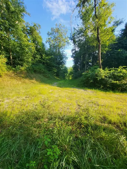 65945 57a Calvin Ctr, Cassopolis, MI 49031 photo 14