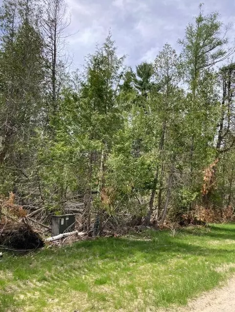 pine tree trail, Oscoda, MI 48750 photo 4