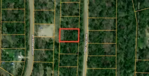 pine tree trail, Oscoda, MI 48750 photo 2