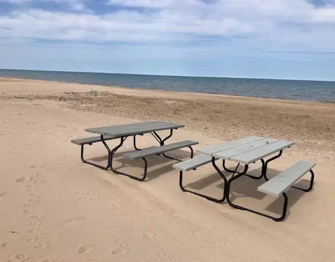 pine tree trail, Oscoda, MI 48750 photo 7
