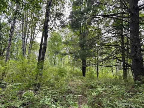 V/l 30th, Remus, MI 49340 photo 4
