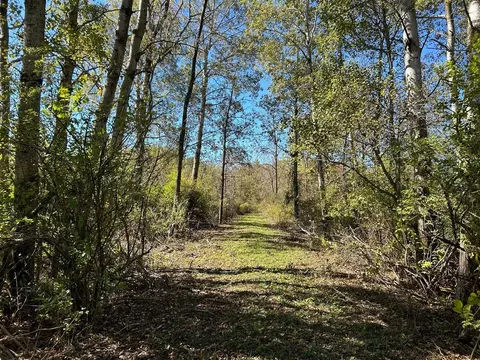 V/l 30th, Remus, MI 49340