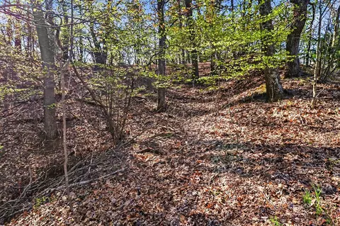 N Silver Ridge, Mears, MI 49436 photo 2