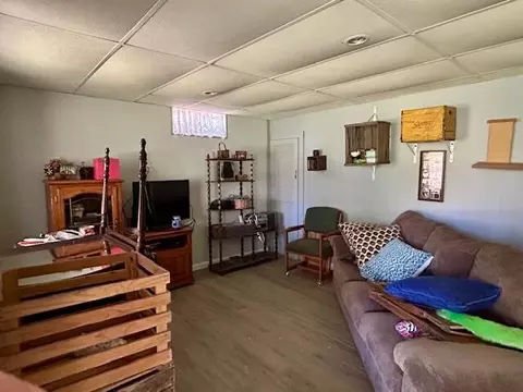 10158 S S Riv, Evart, MI 49631 photo 21