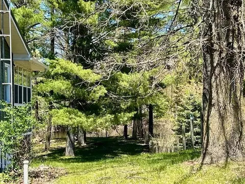 10158 S S Riv, Evart, MI 49631 photo 42