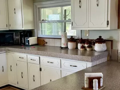 10158 S S Riv, Evart, MI 49631 photo 13