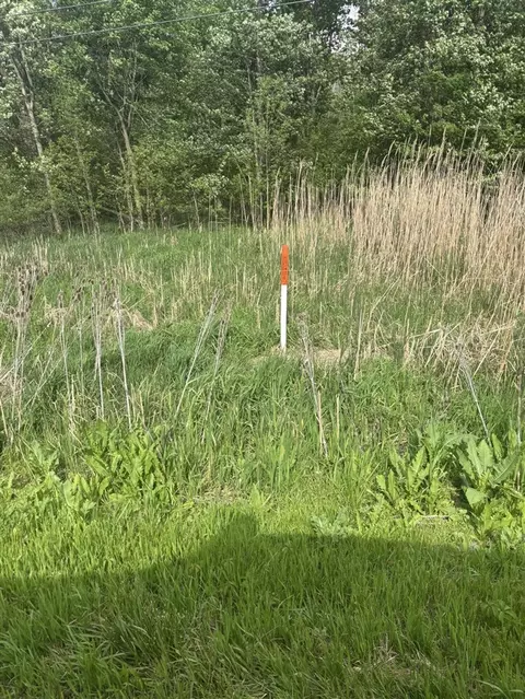 V/l Marshall, Tekonsha, MI 49092 photo 14