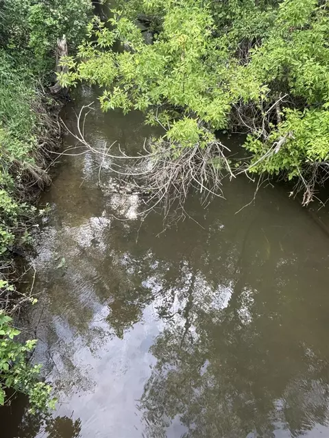 V/l Marshall, Tekonsha, MI 49092 photo 2