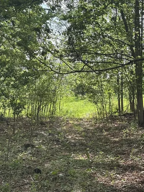 V/l Marshall, Tekonsha, MI 49092 photo 6