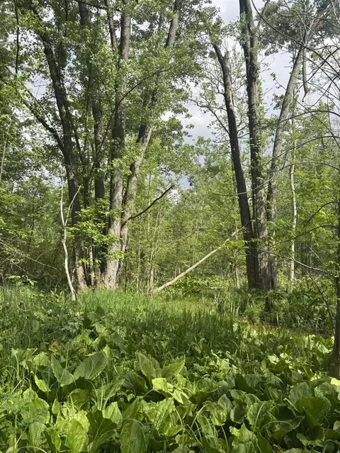 V/l Marshall, Tekonsha, MI 49092 photo 11