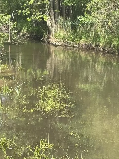 V/l Marshall, Tekonsha, MI 49092 photo 3