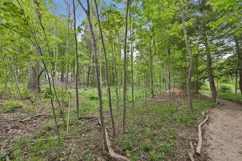 6056 Dune, Coloma, MI 49038 photo 9