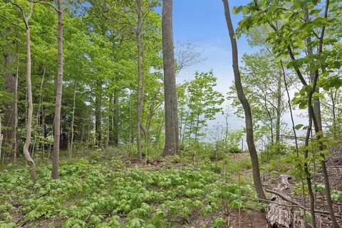 6056 Dune, Coloma, MI 49038 photo 8