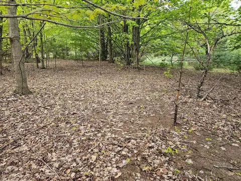 sadie, Bear Lake, MI 49614