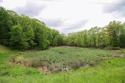 View/Area - 11111 Born, Three Rivers, MI 49093 photo 5 of 5